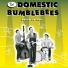 The Domestic Bumblebees
