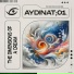 AydinAT 01
