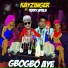 Kayzinger feat. Terry Apala