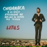 Litus