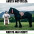Anuta Motofelea