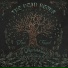 The Dead Reeds, Codie Fetter
