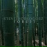 Steve Dobrogosz