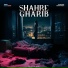 021G feat. Shayan Eshraghi