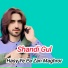 Shandi Gul