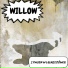 Willow