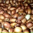 GgRoute