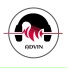 Advin