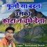 Balmukund Shastri