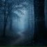 VANTOR, Учебная гармония