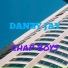 Danzy jay