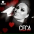 Svetlana Ceca Raznatovic