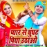 Teena, Nisha Jangid