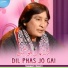 Naseem Seemi