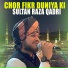 Sultan Raza Qadri