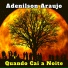 Adenilson Araujo