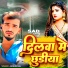 Aashiq Raj