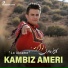 Kambiz Ameri