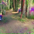 IDILLIA