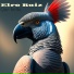 Elro ruiz
