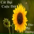 Đào Phi Dương