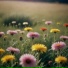 ΠΠ²ΡΠΊΠΈ ΠΊΠΎΡΠΌΠΎΡΠ°, atmospheremusic
