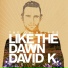 david k & the oh hello's