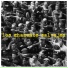 Los Chanchos Salvajes
