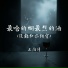 王向涛