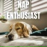 The Sleepy Sounds