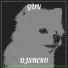 DJSHERO