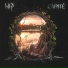 Dom Искусств, Carité