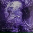 SA9I