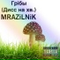 MRAZiLNiK
