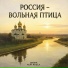 Zinvik feat. Akula