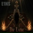 E1NS