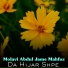 Molavi Abdul Jame Mahfuz