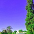 MOON 808