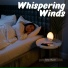 Sleep Music
