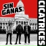 Cicatrices