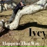 Ivey