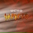 Ucho