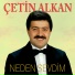 Çetin Alkan