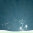 K.S. Project feat. V.Ray
