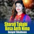 Inayat Shaheen
