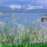 SPPD
