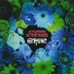 GITANE