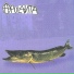 Apulanta