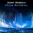 Josef Homola