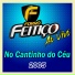 BANDA FORRÓ FEITIÇO